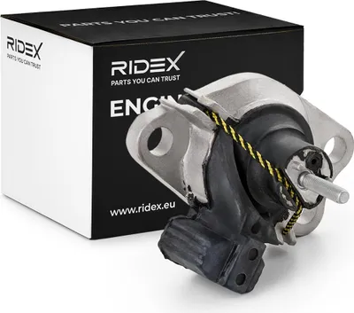 Produktbild von RIDEX Motorlager Hydrolager Rechts für RENAULT CLIO II (BB0/1/2, CB0/1/2) 247E0120