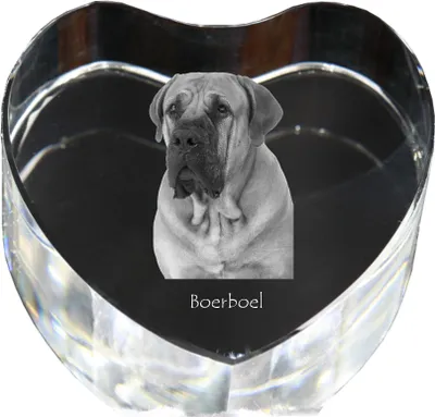 Immagine prodotto di Boerboel - fotografia del cane in cristallo, cuore di cristallo, cornice unica con fotografia del marchio Art-Dog