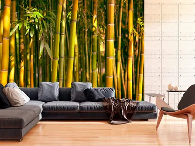 Produktbild von Vlies Fototapete 400x280 cm Tapeten Wandtapete XXL Bambus Baum Bäume Bambusweld Natur Wald grün Asien b-B-0072-a-c