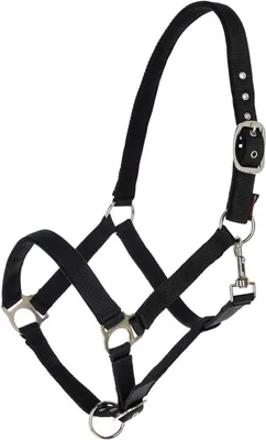 Produktbild von Covalliero Halfter Dexter mit Fleeceunterlage Nylonhalfter Schwarz Foal