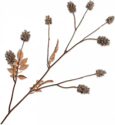Produktbild von Silk-ka Kunstblume-Seidenblume-Künstlicher Zweig Distelzweig Grau 118 cm