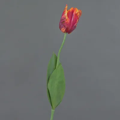 Produktbild von artplants.de Künstliche Papageientulpe Uakari, rot-pink-orange-grün, 65cm, Ø6cm - Kunst Papageientulpe