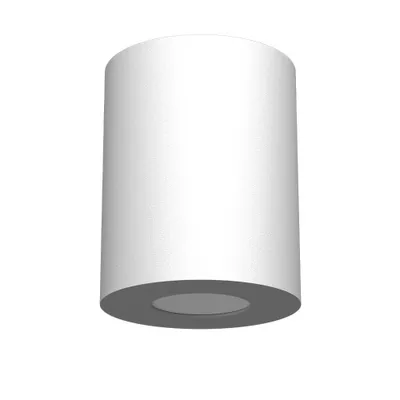 Zdjęcie produktu dla Spot łazienkowy biały tuba Ø8cm 1xGU10 10W POINT 1257 Brosline