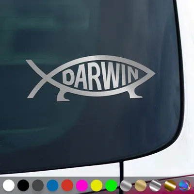 Produktbild von PantherPixel Darwin Fisch Aufkleber Evolution Ichthys Atheist Sticker Auto Geschenkidee Farbe Silber