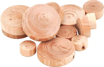 Produktbild von JOWE Astdübel - Lärchenäste, ø 35 mm, Höhe 9 mm, Inhalt 250 Stück