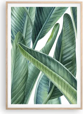Produktbild von Gerahmtes Poster - Rahmen in heller Eiche - Exotisch Blätter Grün - 70x100 cm - Wand Bild - Wanddeko - Wandbilder - Wandposter - Bilderrahmen - Bilder - Kunstdruck - Wandbild - P2NPA70x100-4258