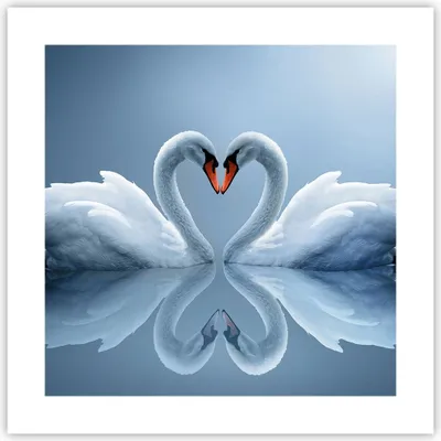 Produktbild von Poster - Poster ohne Rahmen - Ladung Dampf Wasser - 40x40 cm - Wand Bild - Wanddeko - Wandbilder - Kunstposter - Wandposter - Bilder - Kunstdruck - Wanddekoration - Wandbild - P2XAC40x40-3541
