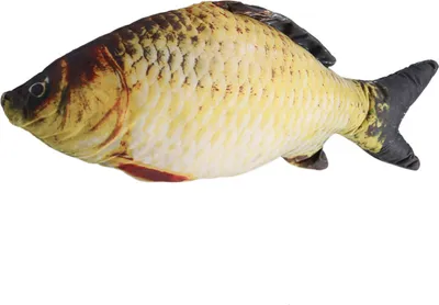 Zdjęcie produktu dla Kreatywna poduszka 3D w kształcie karpia, 60 cm, idealna jako prezent dla dzieci lub jako dodatek do sofy i wystroju wnętrz