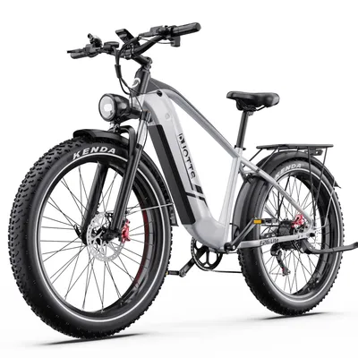 Produktbild von E-Bike Cityrad F26lite 48V 18Ah 864Wh 100km Reichweite 20x4,0Reifen7Gang Elektrisches 7 Gang Shimano Schaltwerk, Kettenschaltung, Heckmotor, 864 Wh
