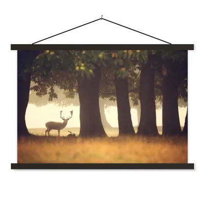 Produktbild von MuchoWow® Textilposter Hirsche - Bäume - Wald 60x40 cm mit schwarzem Rahmen - Hölzernes