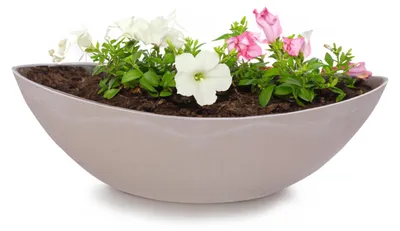 Immagine prodotto di Ciotola ovale grande per piante 39 cm per esterni Ciotola decorativa sabbia beige
