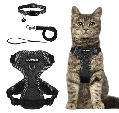 Produktbild von Katzengeschirr mit Leine Ausbruchsicher Verstellbar Reflektierend Schwarz XL