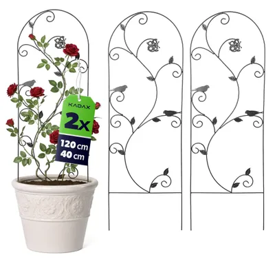Obrázok produktu pre KADAX Kovová mreža 40 x 120 cm, 2 kusy, opora pre popínavé rastliny, mreža na ruže z práškovo lakovanej ocele, opora pre popínavé ruže a plamienky (vtáky)