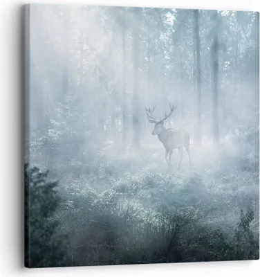 Produktbild von Bild auf Leinwand - Leinwandbild - Einteilig - Hirsch Wald Morgendämmerung - 30x30cm - Wand Bild - Wanddeko - Wandbilder - Leinwanddruck - Bilder - Wanddekoration - Leinwand bilder - AC30x30-4667
