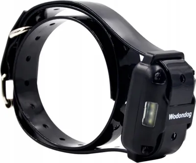 Image de Récepteur de collier L880 - 433 MHz