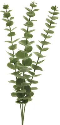 Produktbild von Bellatio Design Kunstblume Eukalyptus Cinera 60 cm