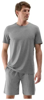 Produktbild von Shorts 4F 4FWSS25TFSHM0911-25M für Herren