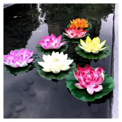 Produktbild von 5 Stück Künstliche Schwimmende Lotusblumen, Simulierte Seerosen, Lebensechte Dekoration für Teich und Garten, Mikro (10cm, pink)