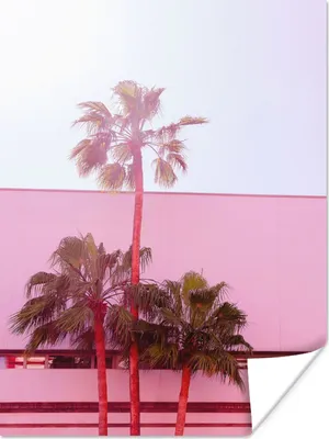 Produktbild von MuchoWow® Poster Palme - Garten Poster - Rosa 120x160 cm - Wandbilder