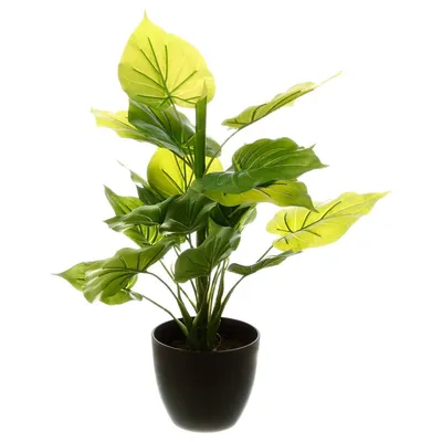 Produktbild von Atmosphera 136512, 1 Stück(e)