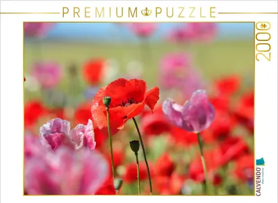 Produktbild von CALVENDO Puzzle Mohnblumen 2000 Teile Puzzle quer | 2000 Teile Lege-Größe 90x67cm Foto-Puzzle für glückliche Stunden