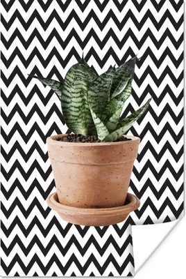 Produktbild von MuchoWow® Poster Pflanze - Blumentopf - Schwarz - Weiß 60x90 cm - Wanddekoration