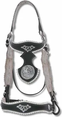 A black and silver horse bridle with ornate details, presented against a white background.