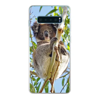 Produktbild von MuchoWow® Handyhülle Schutzhülle Hülle für Samsung Galaxy S10 Lite Koala - Luft - Zweige - Jungen - Mädchen Silikon Softcase Handy Hülle - Schutz