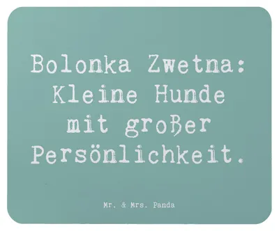 Produktbild von Mr. & Mrs. Panda Mauspad Spruch Bolonka Zwetna Charme - Meeresbrise - Geschenk, verspielt, Mouse Pad, Mousepad, verspielte Hunde, mousematte, laptop, Hunderasse