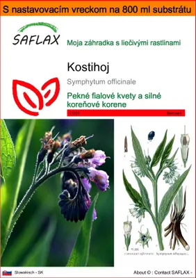 Obrázok produktu pre SAFLAX Garden in the bag - kostihoj - Symphytum officinale - 15 Semená - S pestovateľským substrátom v praktickom samostaviteľnom vrecku