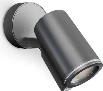 Image de Steinel LED Sensor Spot 7,47W 512 lm 3000 K Spot one S anthracite