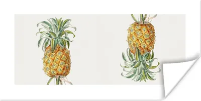 Produktbild von MuchoWow® Poster Ananas - Lebensmittel - Obst 120x60 cm - Bild