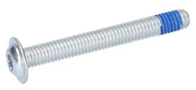 Obrázek produktu pro Šroub s kuželovou hlavou Torx pro sekačku Bosch - 1613490011