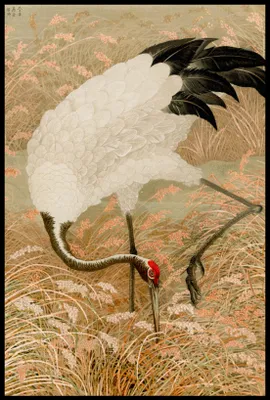 Produktbild von Plakat 61x91,5cm Saruskranich, G.A. Audsley Japanisch Vintage
