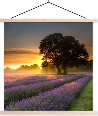 Produktbild von MuchoWow® Textilposter Maifeld-Lavendelfelder bei nebligem Sonnenaufgang 40x40 cm mit holzfarbenen Rahmen - Posterleiste