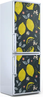 Produktbild von Magnete Dekorative - 70 cm x 190 cm - Küche - Magnetmatte Kühlschrankmagnete - Zitrone Zitrusfrüchte