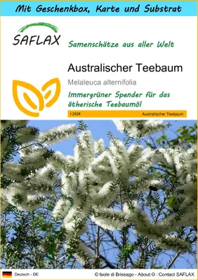 Produktbild von SAFLAX Geschenk Set - Australischer Teebaum - Melaleuca alternifolia - 400 Samen - Mit Geschenkbox, Versandaufkleber, Geschenkkarte und Anzuchtsubstrat