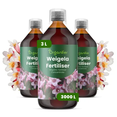 Obrázok produktu pre Tekuté hnojivo pre vajgélie, 3x1 liter – vzorec NPK 2-1-8 – Vhodné pre vajgélie – Podporuje rovnomerný rast, bohaté kvitnutie a stabilitu rastlín – Organifer