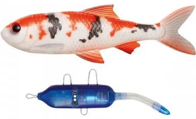 Produktbild von Pulz Bait Roach Kit (Koi Carp)