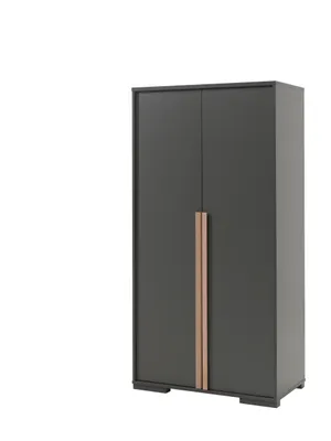 Produktbild von LONDON Kleiderschrank 2-trg., Ausf. Anthrazit Nachbildung, Absatz Buche natur massiv