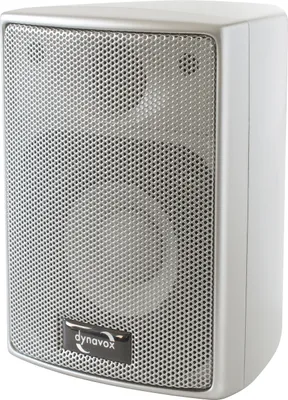 Produktbild von Dynavox AS-301 Satelliten-Lautsprecher, Paar, Silber