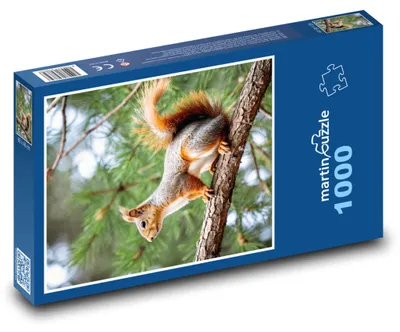Zdjęcie produktu dla Puzzle 1000 Wiewiórka na gałęzi drzewa - martinpuzzle