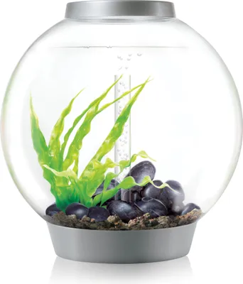 Produktbild von biOrb CLASSIC 60 LED silber (72012)