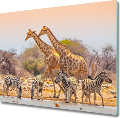 Produktbild von Glas Herdabdeckplatte 60x52 cm Spritzschutz Glasabdeckplatte Schneidebrett Giraffen und Zebras
