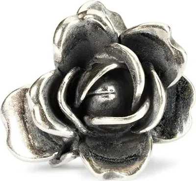Produktbild von Trollbeads Charms & Anhänger für Damen