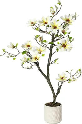 Zdjęcie produktu dla Sztuczne drzewo magnolii – bonsai stojące – 120 cm – materiał PE – do użytku na zewnątrz i na wystawach – mlecznobiałe