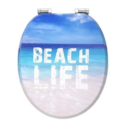 A toilet seat with a beach scene and text.