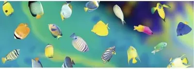 Produktbild von Transparentpapier 115g/qm A4 VE=25 Blatt Maritim Fische