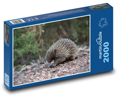 Obrázok produktu pre Puzzle 2000 Ježko v lese - martinpuzzle