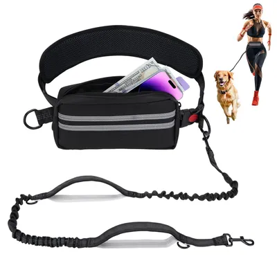 Joggingleine mit Bauchgurt, 145–200 cm, für Hunde bis 50 kg